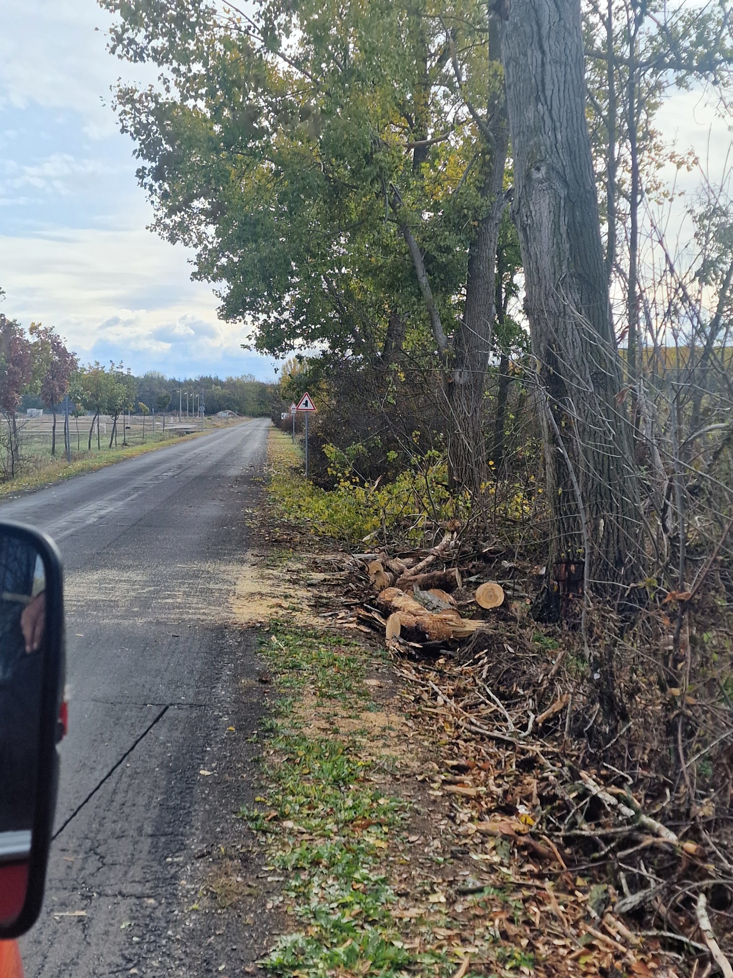 2025.10.24 fakidőlés