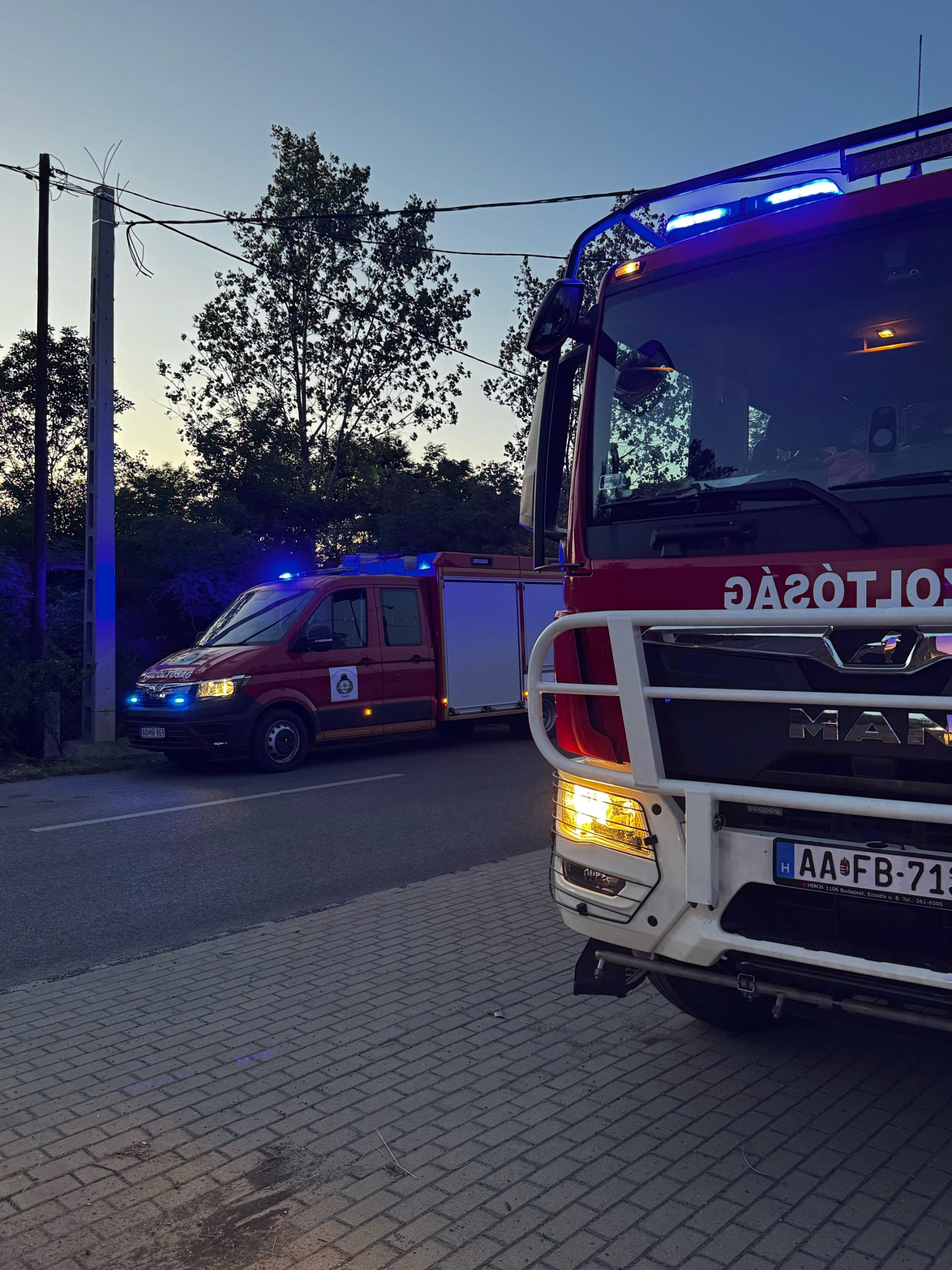 2026.07.03 Leszakadt faág