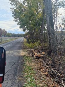 20251024_110108_copy_1500x2000