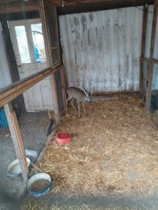 received_1329354512010327_copy_756x1008